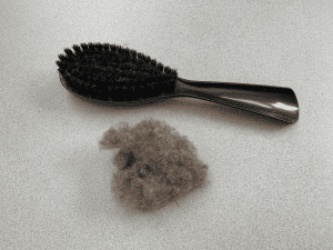 A picture of a clothes brush and a very large dust-bunny.